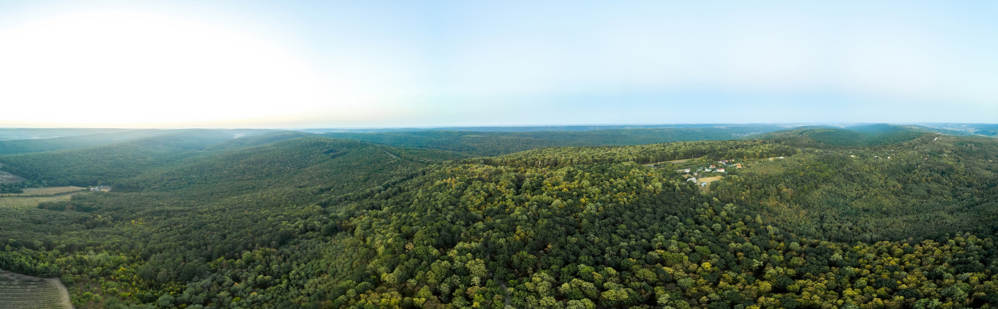 A panoramic aerial view of a vast, green forest landscape with rolling hills stretching into the horizon. Small clusters of houses are nestled among the trees, and the sky above is clear with a soft gradient from blue to white.